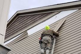 Best Historical Building Siding Restoration  in Kealakekua, HI